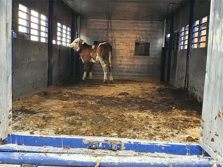 Obnovljene štale obiteljskog gospodarstva u Strašniku